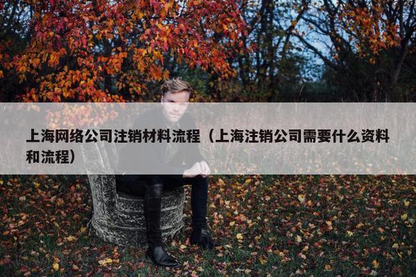 上海网络公司注销材料流程（上海注销公司需要什么资料和流程）