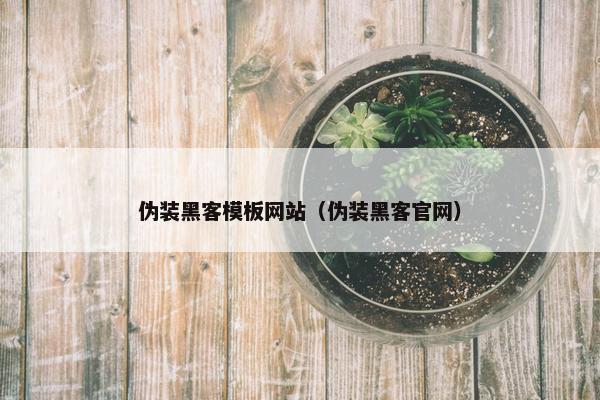 伪装黑客模板网站（伪装黑客官网）