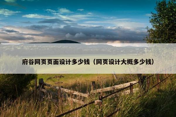 府谷网页页面设计多少钱（网页设计大概多少钱）