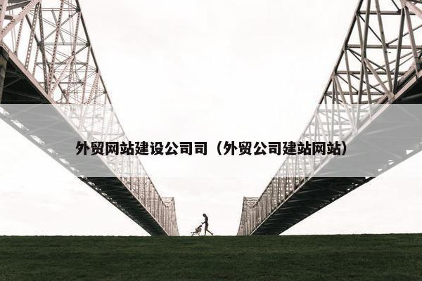 外贸网站建设公司司（外贸公司建站网站）