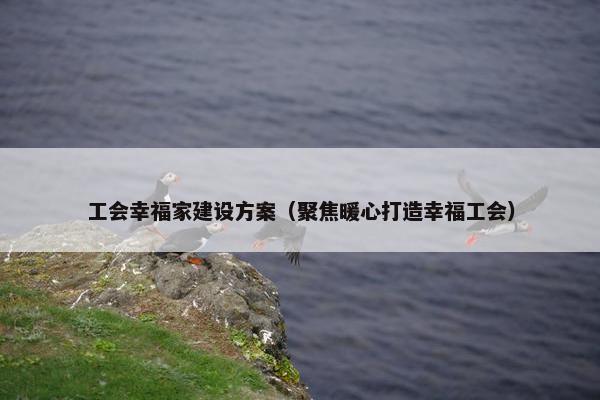 工会幸福家建设方案（聚焦暖心打造幸福工会）
