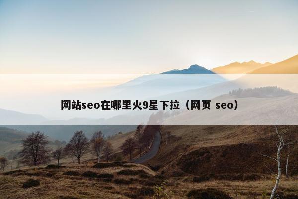 网站seo在哪里火9星下拉（网页 seo）