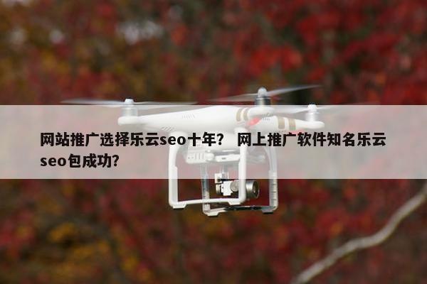 网站推广选择乐云seo十年？ 网上推广软件知名乐云seo包成功？