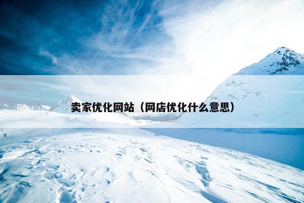 卖家优化网站（网店优化什么意思）