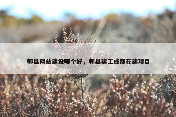 郫县网站建设哪个好，郫县建工成都在建项目
