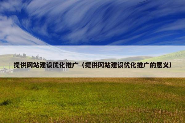 提供网站建设优化推广（提供网站建设优化推广的意义）