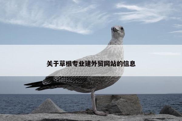 关于草根专业建外贸网站的信息