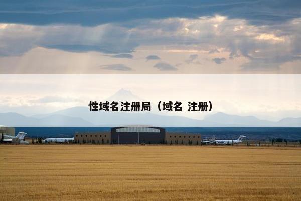 性域名注册局（域名 注册）