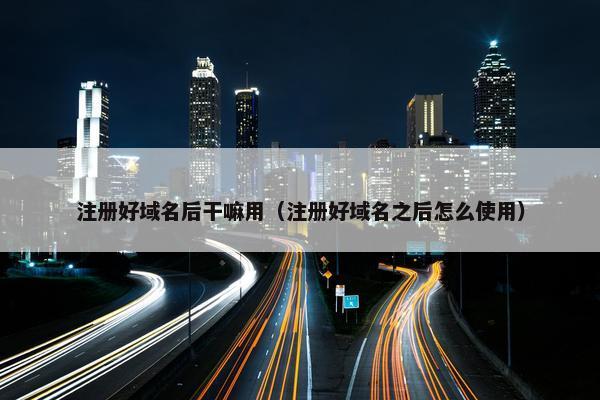注册好域名后干嘛用（注册好域名之后怎么使用）