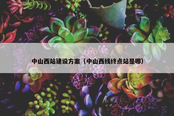中山西站建设方案（中山西线终点站是哪）
