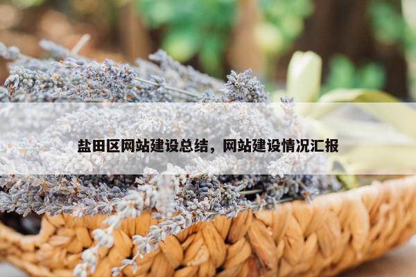 盐田区网站建设总结，网站建设情况汇报