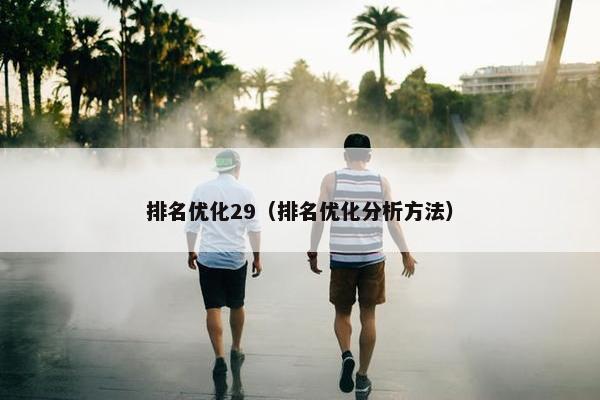 排名优化29（排名优化分析方法）