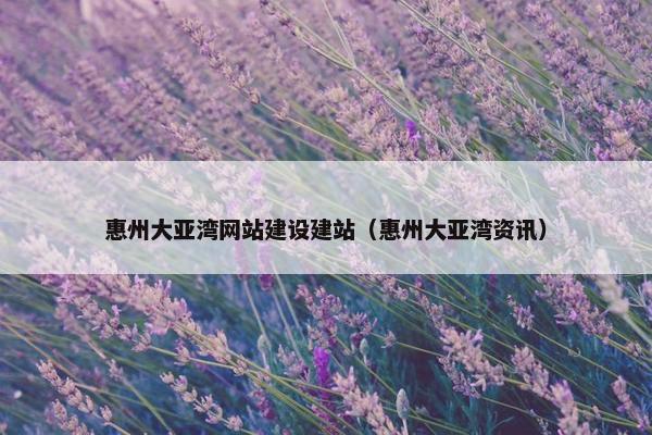 惠州大亚湾网站建设建站（惠州大亚湾资讯）