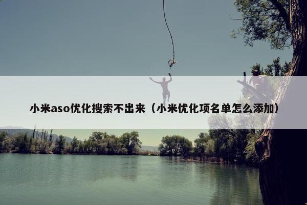 小米aso优化搜索不出来（小米优化项名单怎么添加）