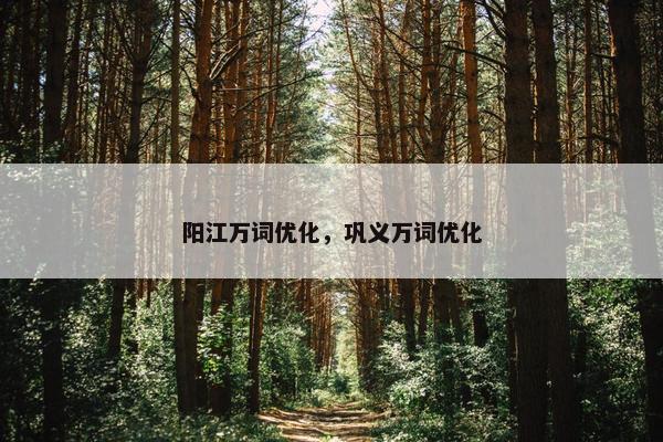 阳江万词优化，巩义万词优化