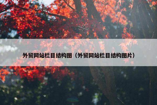 外贸网站栏目结构图（外贸网站栏目结构图片）