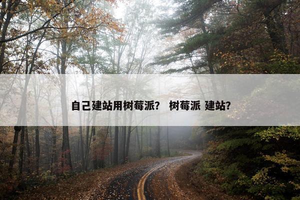 自己建站用树莓派？ 树莓派 建站？
