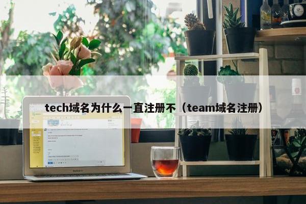 tech域名为什么一直注册不（team域名注册）