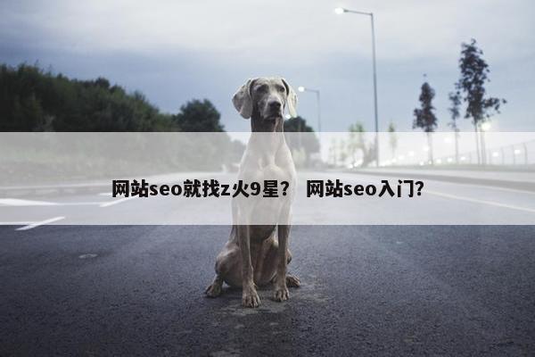 网站seo就找z火9星？ 网站seo入门？
