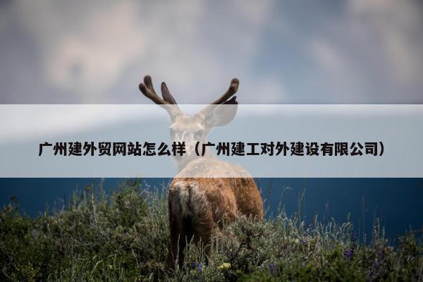 广州建外贸网站怎么样（广州建工对外建设有限公司）