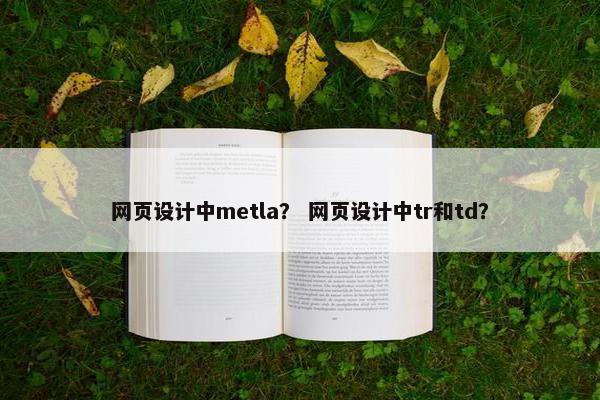 网页设计中metla？ 网页设计中tr和td？