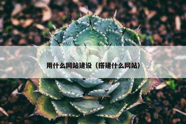 用什么网站建设（搭建什么网站）