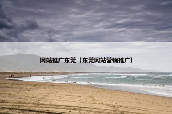 网站推广东莞（东莞网站营销推广）