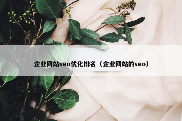 企业网站seo优化排名（企业网站的seo）