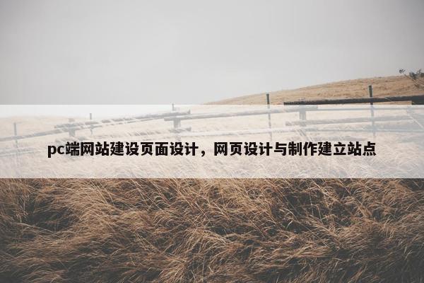 pc端网站建设页面设计，网页设计与制作建立站点