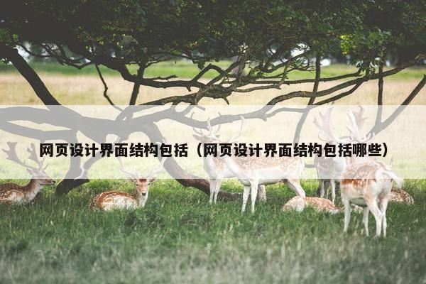 网页设计界面结构包括（网页设计界面结构包括哪些）