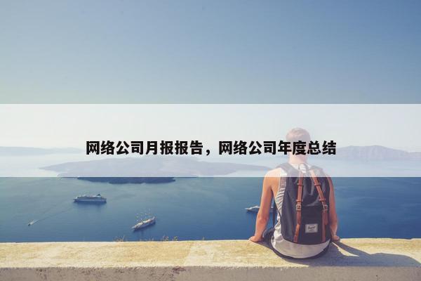 网络公司月报报告，网络公司年度总结