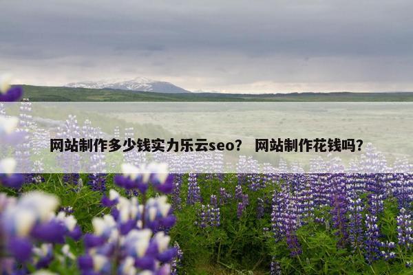网站制作多少钱实力乐云seo？ 网站制作花钱吗？