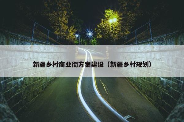 新疆乡村商业街方案建设（新疆乡村规划）