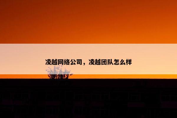 凌越网络公司，凌越团队怎么样