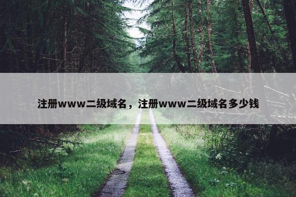 注册www二级域名，注册www二级域名多少钱