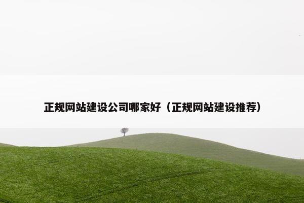 正规网站建设公司哪家好（正规网站建设推荐）