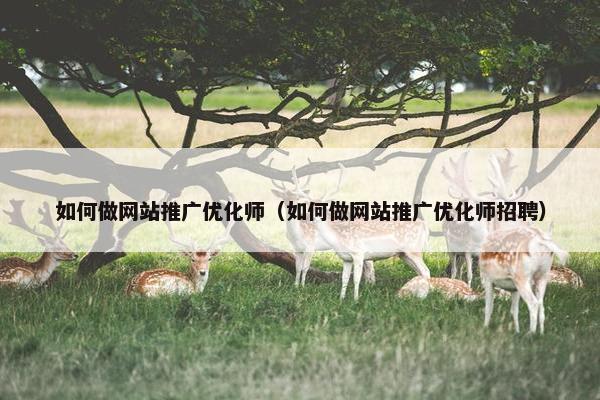 如何做网站推广优化师（如何做网站推广优化师招聘）