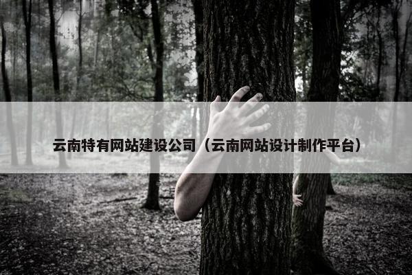 云南特有网站建设公司（云南网站设计制作平台）