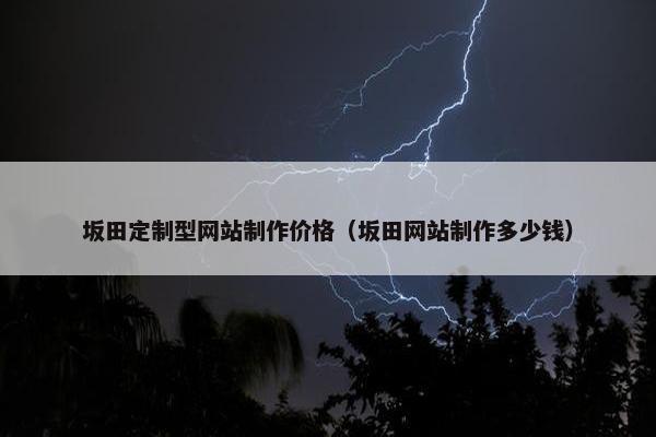 坂田定制型网站制作价格（坂田网站制作多少钱）