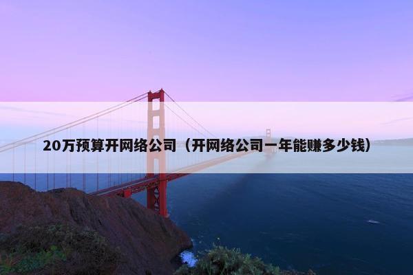 20万预算开网络公司（开网络公司一年能赚多少钱）