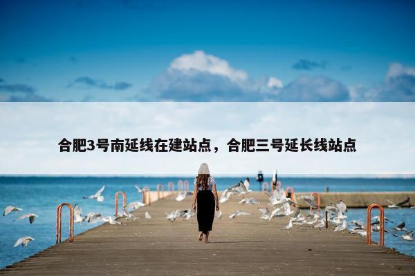 合肥3号南延线在建站点，合肥三号延长线站点