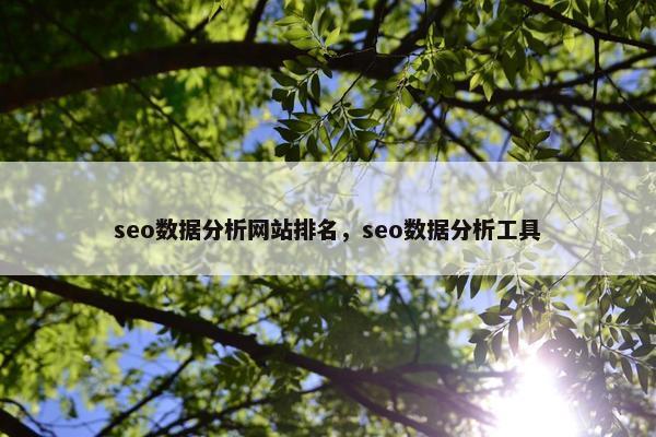 seo数据分析网站排名，seo数据分析工具