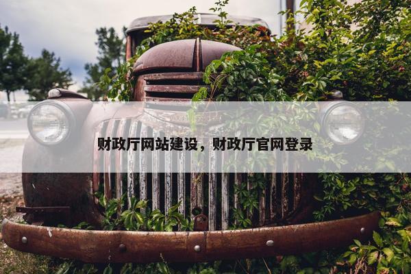 财政厅网站建设，财政厅官网登录