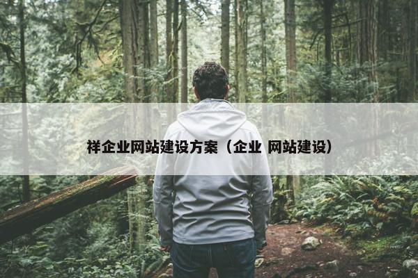 祥企业网站建设方案（企业 网站建设）