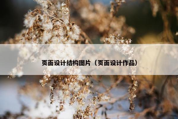 页面设计结构图片（页面设计作品）