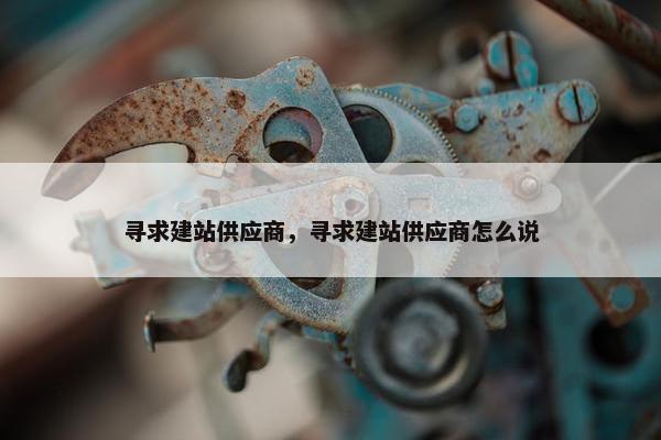寻求建站供应商，寻求建站供应商怎么说