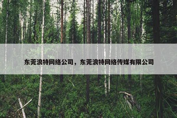 东莞浪特网络公司，东莞浪特网络传媒有限公司