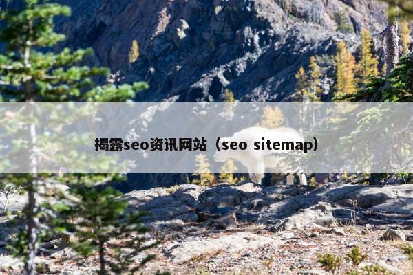 揭露seo资讯网站（seo sitemap）