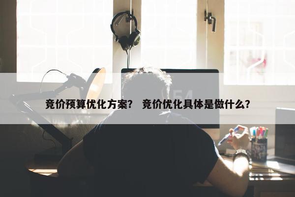竞价预算优化方案？ 竞价优化具体是做什么？