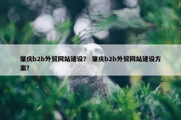肇庆b2b外贸网站建设？ 肇庆b2b外贸网站建设方案？